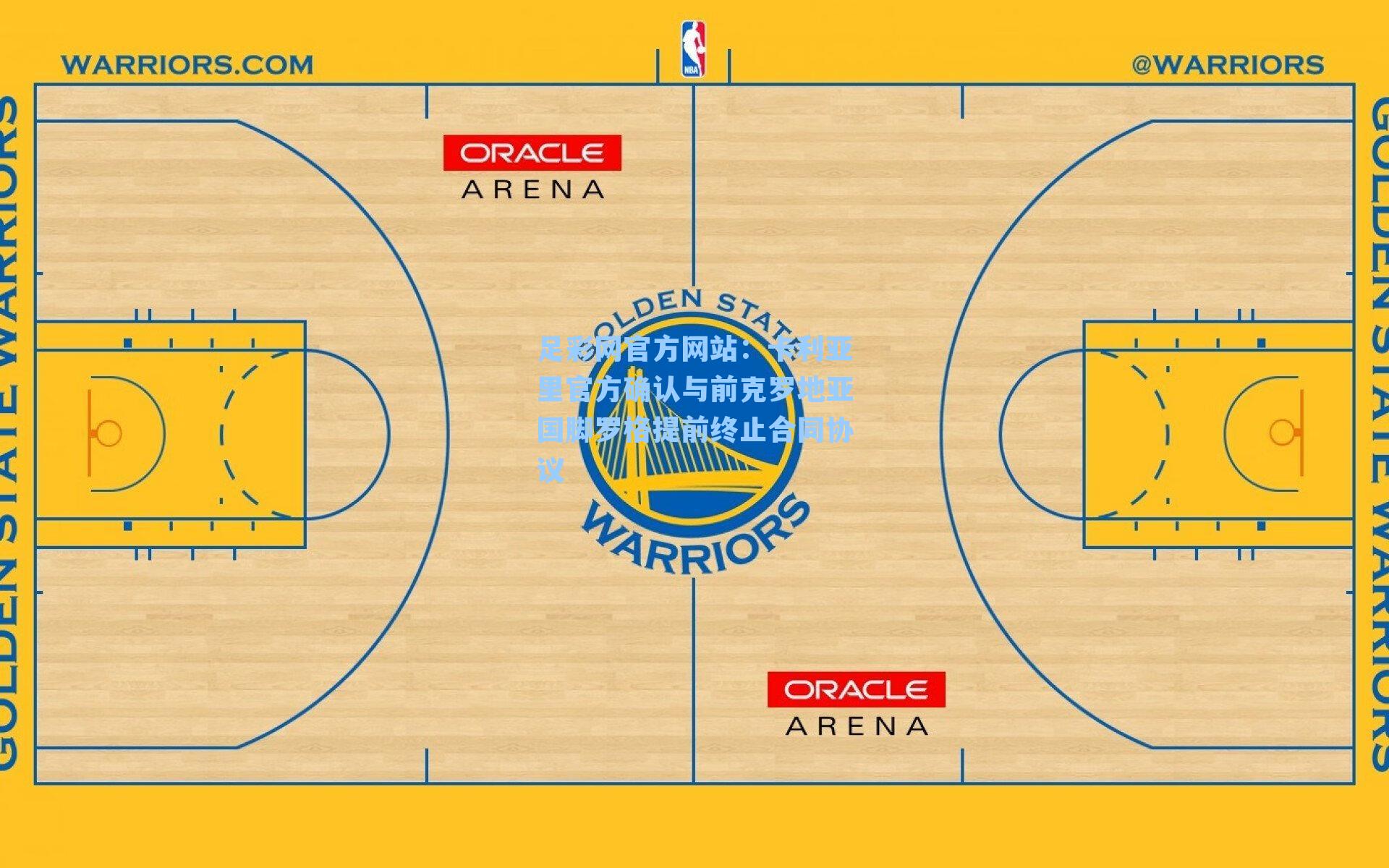卡利亚里官方确认与前克罗地亚国脚罗格提前终止合同协议
