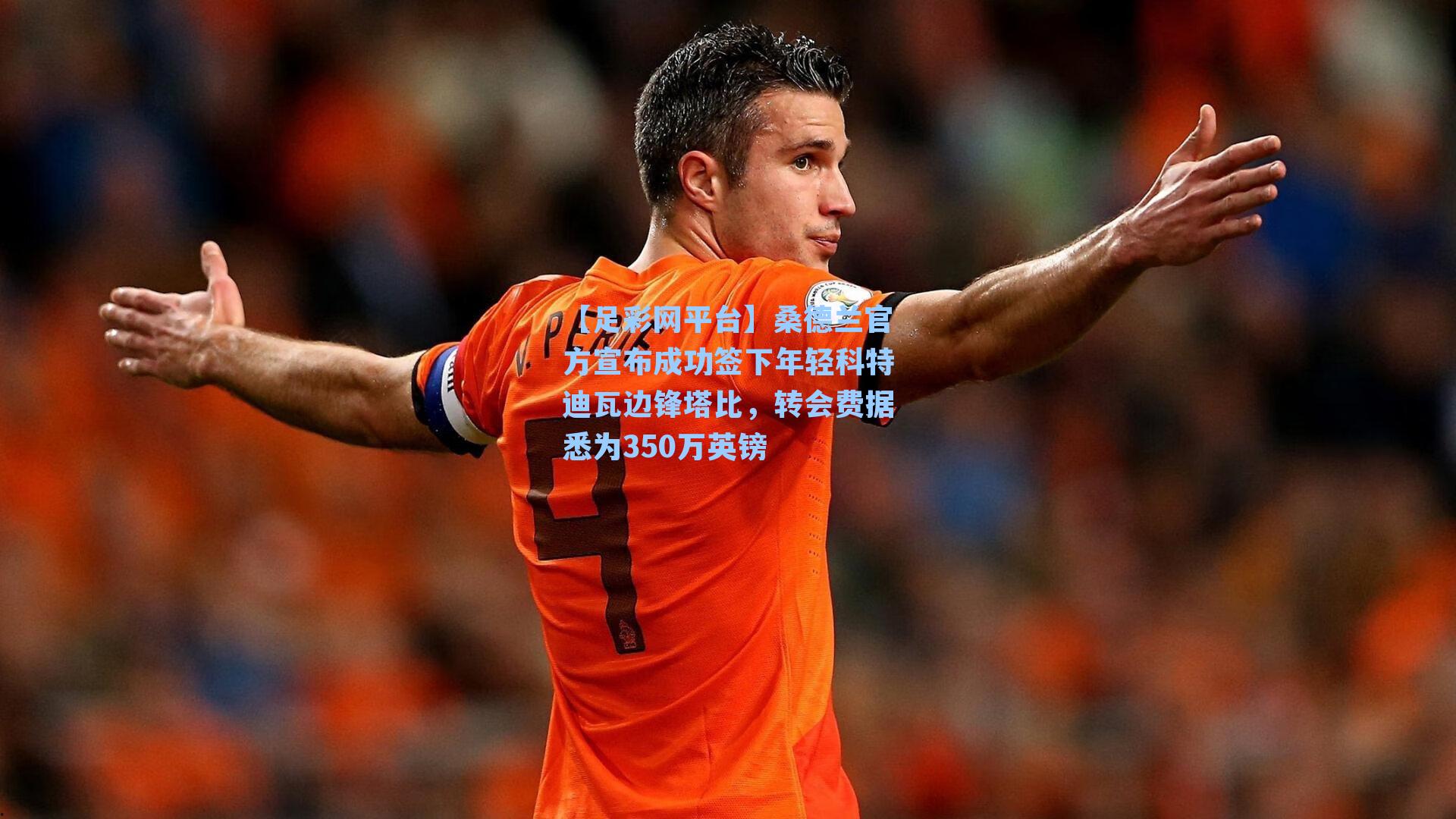 桑德兰官方宣布成功签下年轻科特迪瓦边锋塔比，转会费据悉为350万英镑
