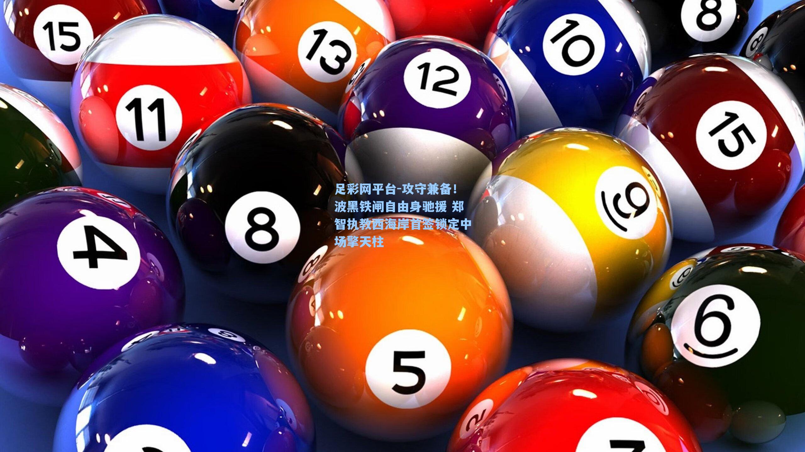 攻守兼备！波黑铁闸自由身驰援 郑智执教西海岸首签锁定中场擎天柱