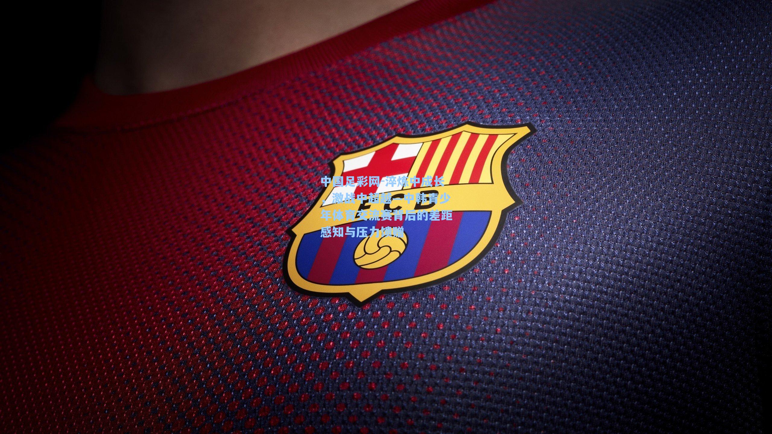 淬炼中成长，激战中超越—中韩青少年体育交流赛背后的差距感知与压力馈赠